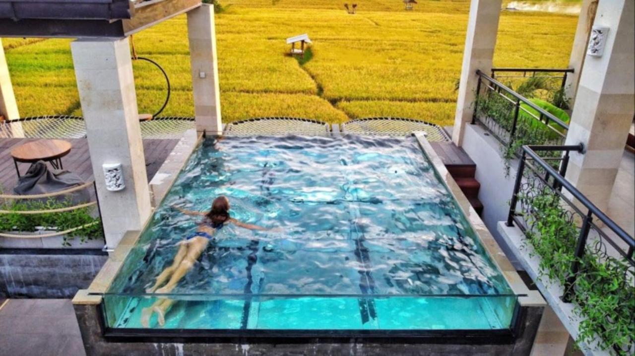 Canggu Hype Luaran gambar